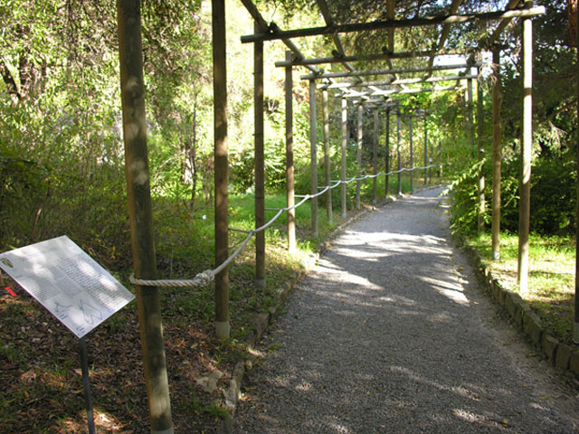 Percorso per Disabili Percorso per Disabili