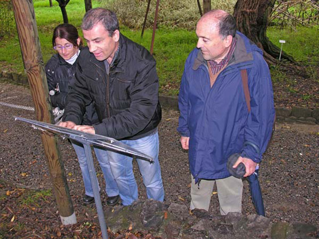 Inizio - Percorso per Disabili Inizio - Percorso per Disabili