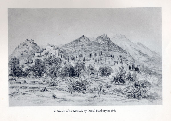 Disegno di Daniel Hanbury del 1867 Disegno di Daniel Hanbury del 1867