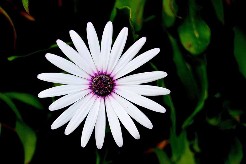 1 classificato 1 classificato