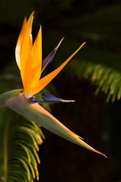 2 classificato 2 classificato