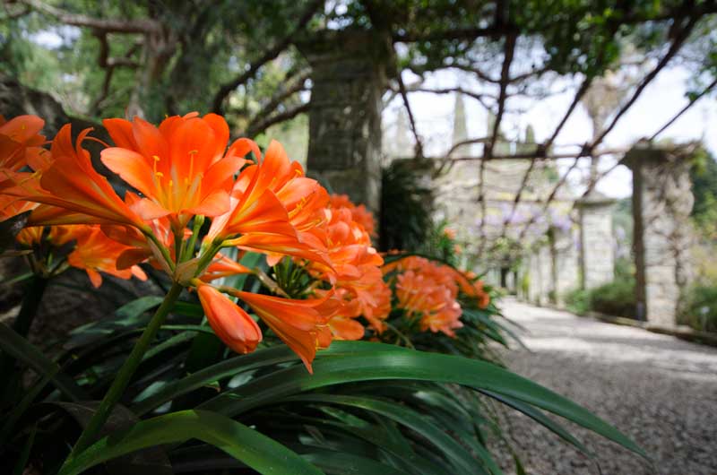 A.Terzo Classificato (EX Aequo): A.Terzo Classificato (EX Aequo):