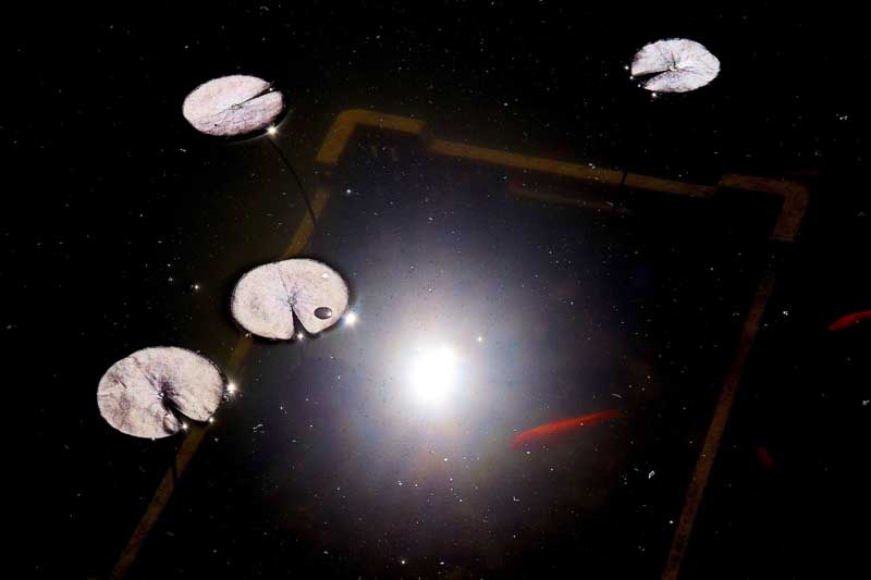 C.Terzo Classificato (EX Aequo): C.Terzo Classificato (EX Aequo):