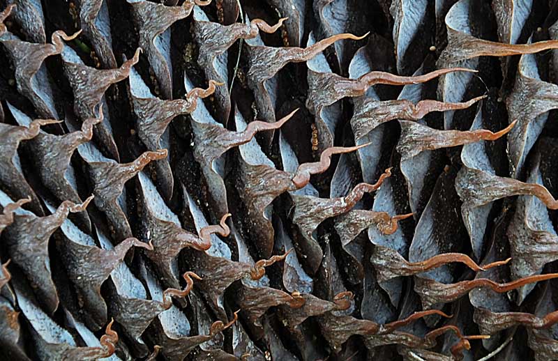 D.Terzo Classificato (EX Aequo): D.Terzo Classificato (EX Aequo):