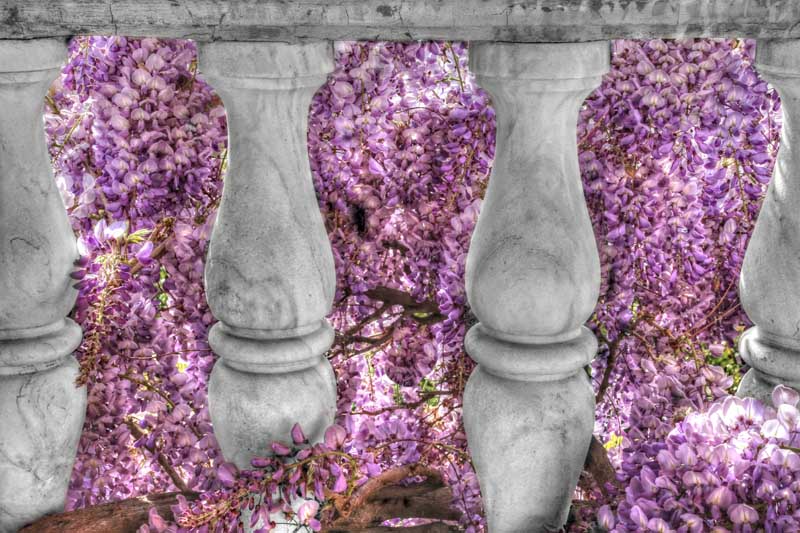 Menzione Speciale Menzione Speciale