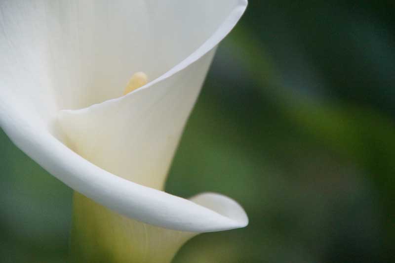 Primo Premio: Primo Premio: