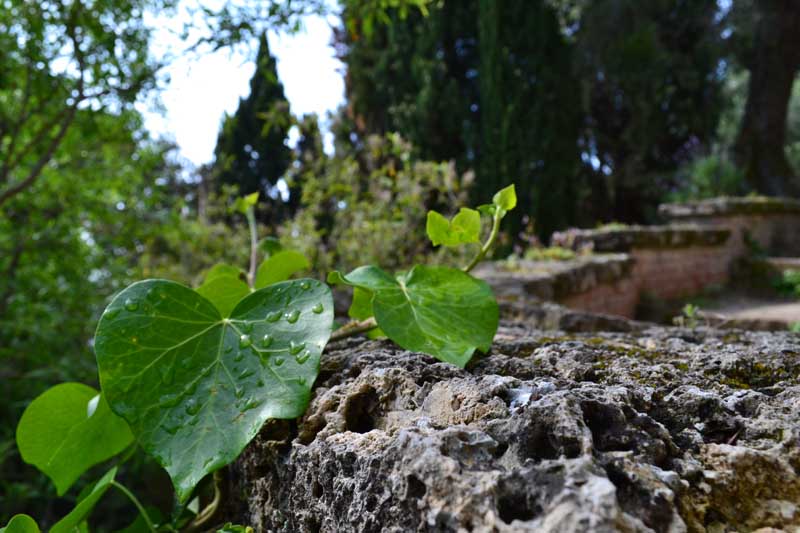 Terzo Premio: Terzo Premio: