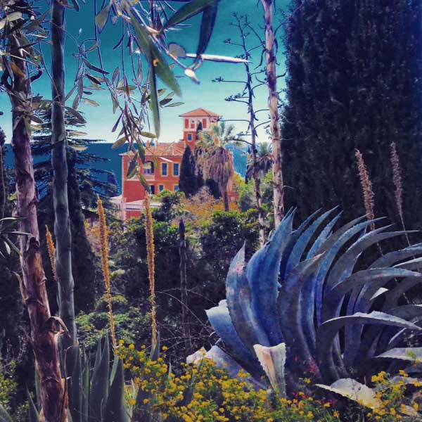 Menzione Speciale Menzione Speciale