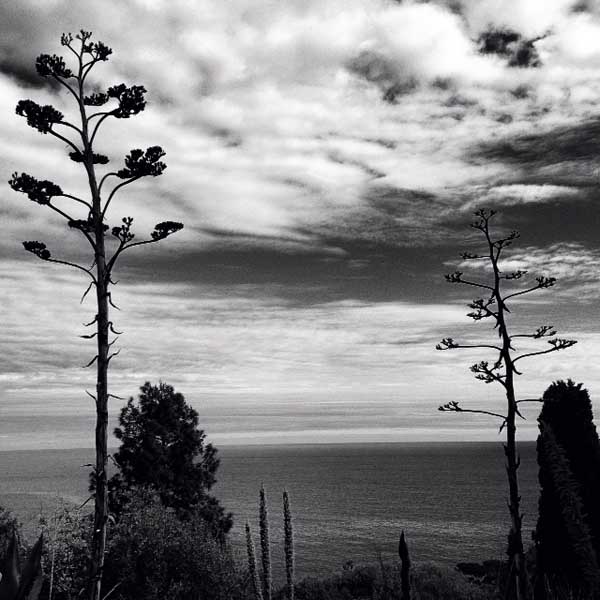 Menzione Speciale Menzione Speciale