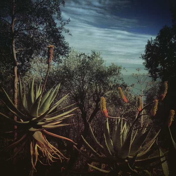 Menzione Speciale Menzione Speciale