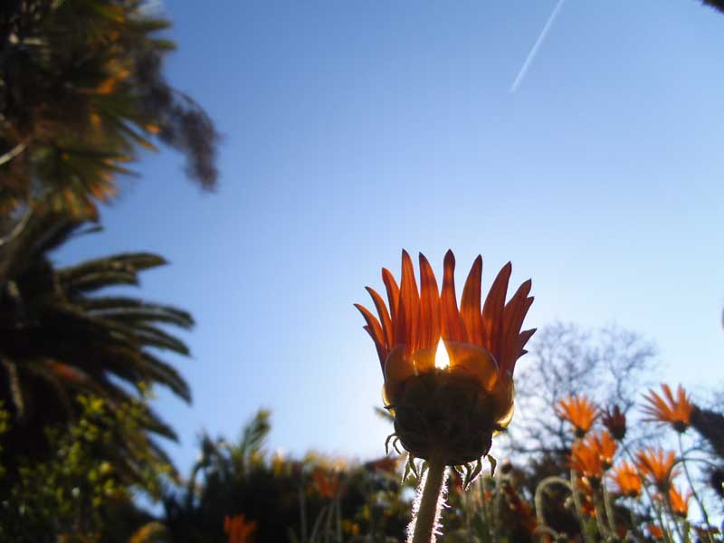 Menzione Speciale Menzione Speciale